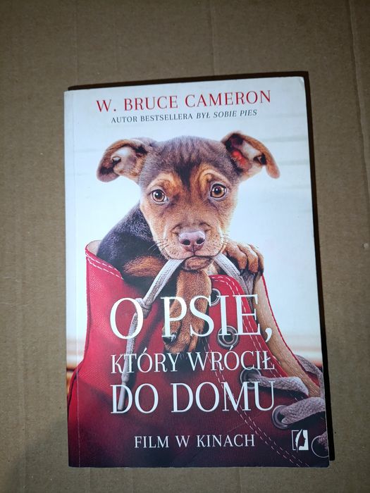 O psie, który wrócił do domu