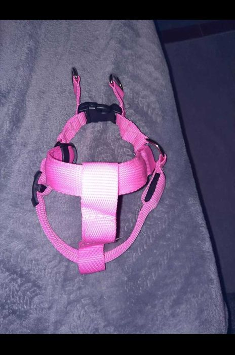 Trela cor de rosa com luz