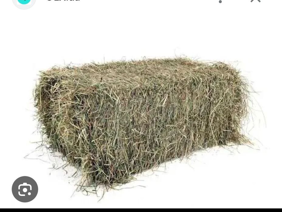 Продам Сіно в тюках