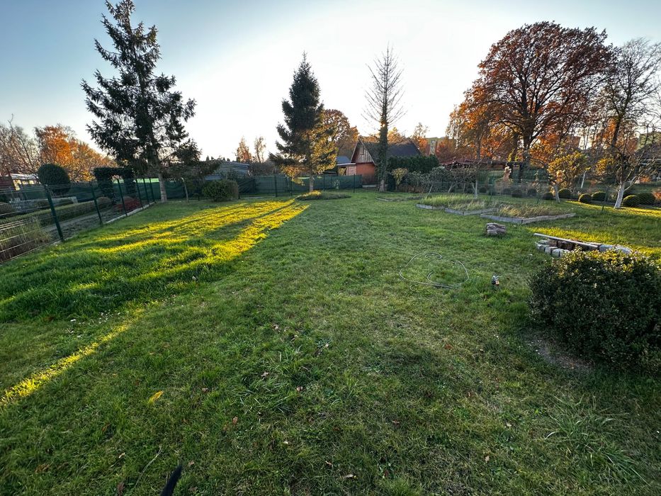 Działka ROD blisko morza Mrzeżyno 500m2/1000m2