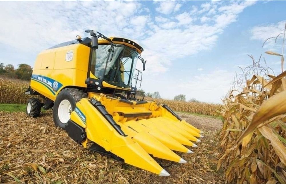 Usługa zbioru koszenia kukurydzy 500zl/ha  skup 685 netto