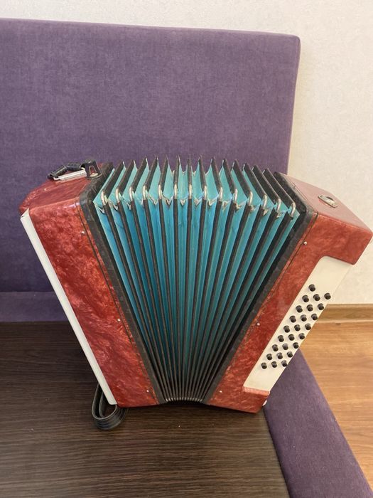 Гармошка Нарач 2