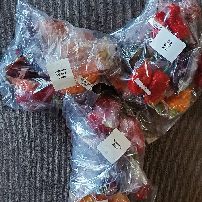 Caixas de malagueta fresca ardência baixa