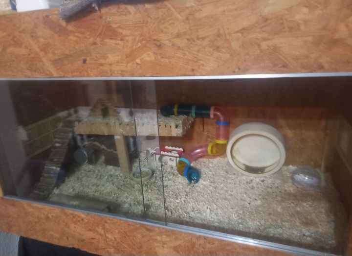 Terrario para anfibios ou outros