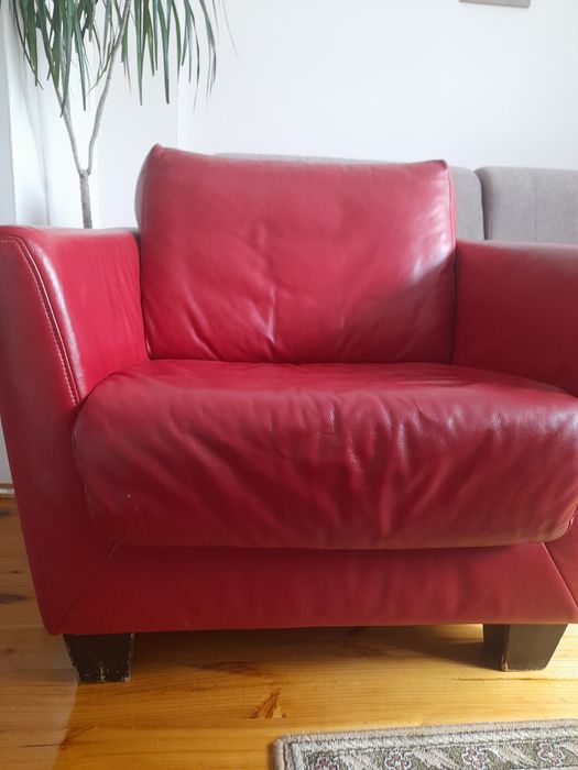 Fotel skóra naturalna