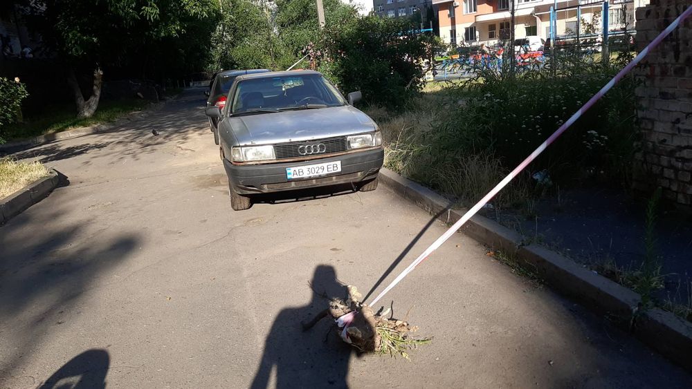 Audi 80 b3 1987 р