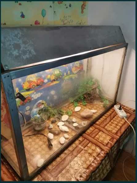 Аквариум домашний