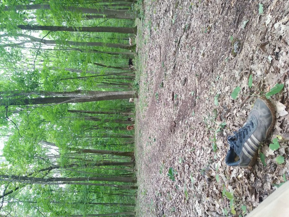 Приглашаем желающих пожить в экопоселении