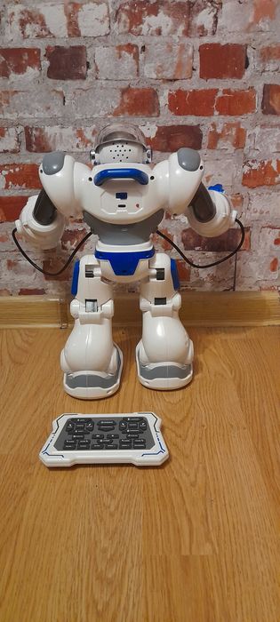 Interatywny robot