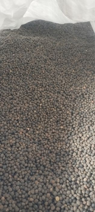 Wyka jara, certyfikat ekologicznyzny