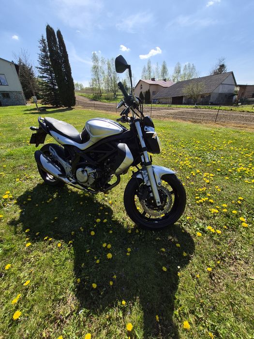 Suzuki gladius 650