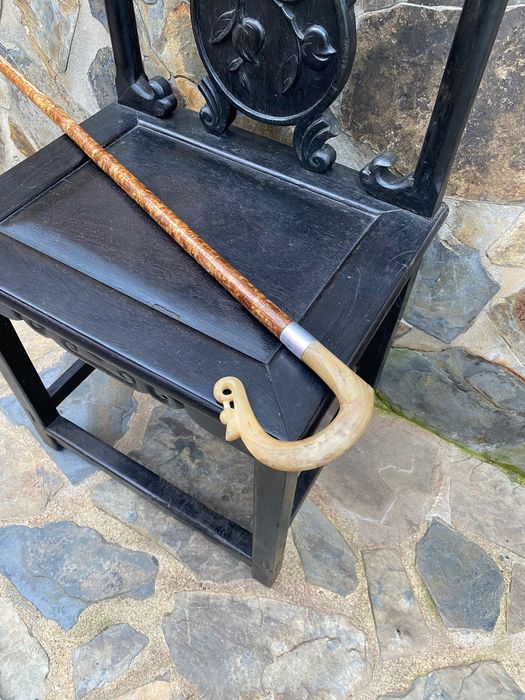 Grande Bengala Cajado Nobre Gentlemen’s Cane 117 centímetros anos 50