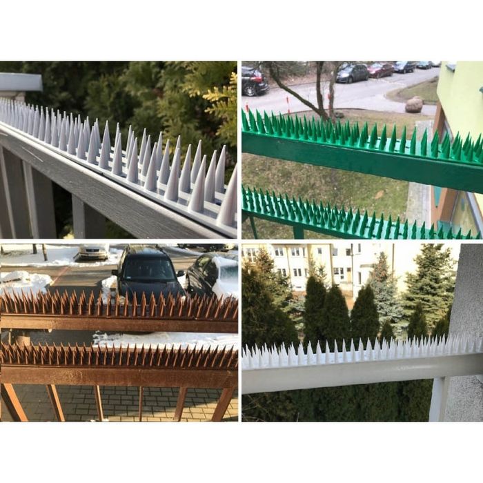 Шипи від птахів і тварин 0.5 м (висота 3 см)