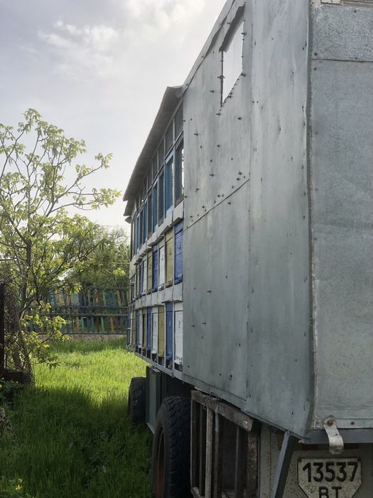 Бджолопавільйон з документами