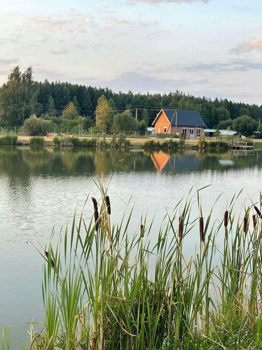 Дом с большим участком и озерами в лесу