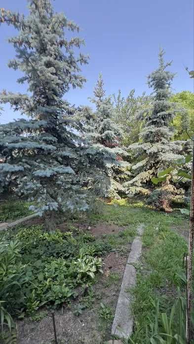 Продам будинок в Куриловке!