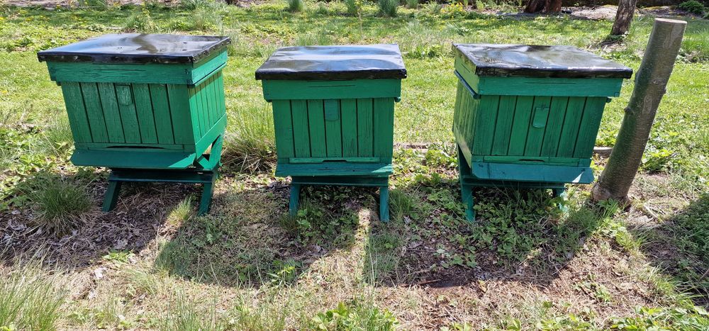 3x ul Wielkopolski, dennica, stojak i daszek, bez korpusu