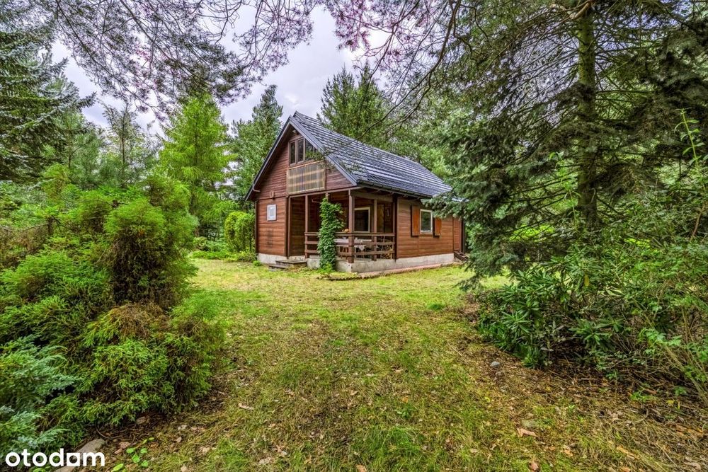 adamów-wieś | działka 2185m2 | bliskość lasu