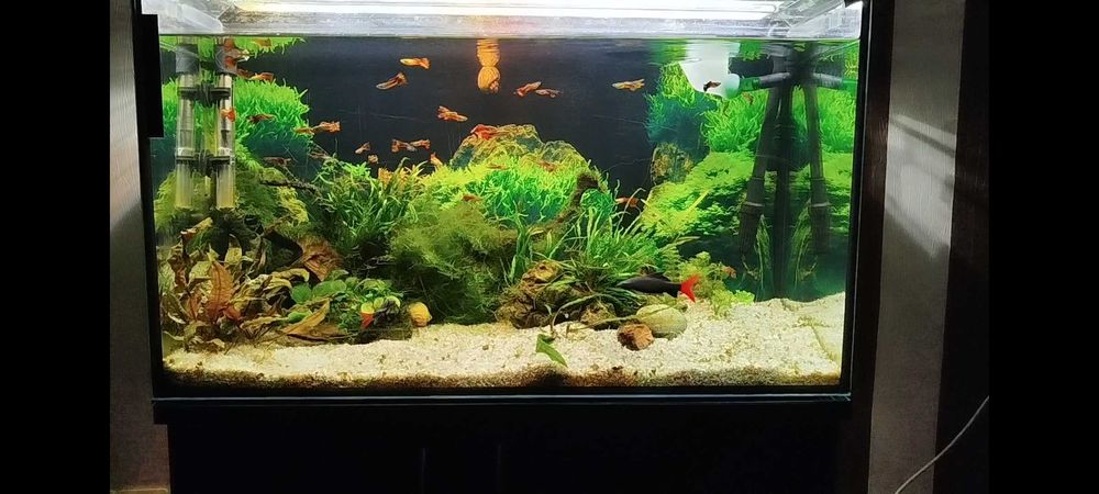 Продам аквариум с тумбой и проф оборудованием