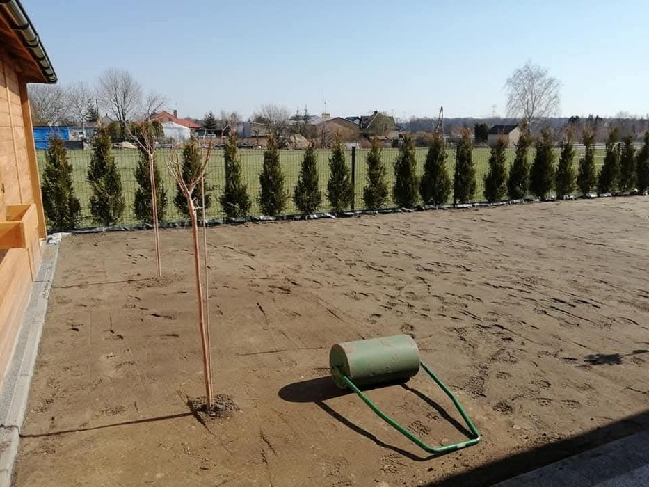 Ogrody trawniki zakładanie