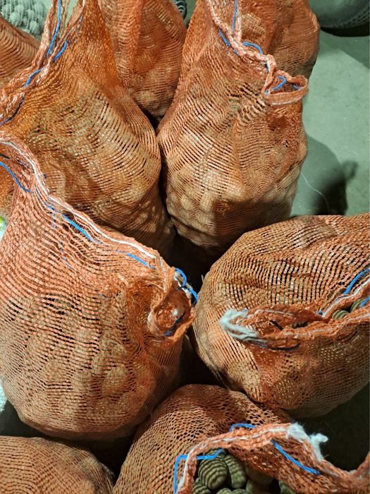 Ziemniaki irga 80gr za kg