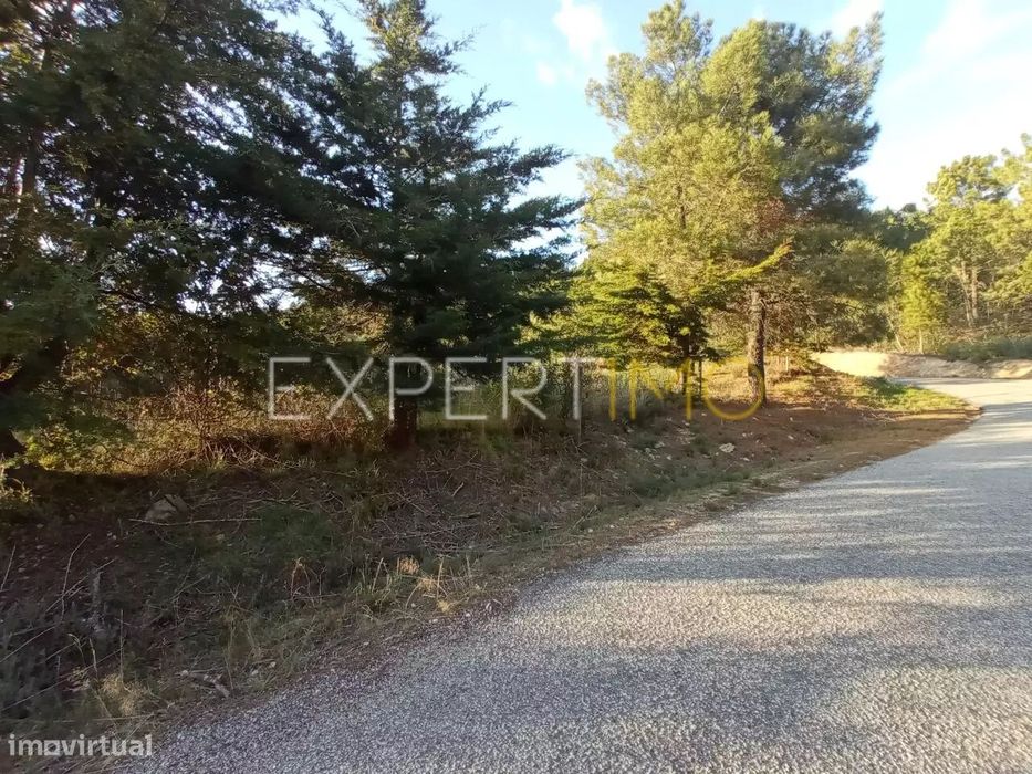QUINTA EM SOCALCOS, paisagismo e local ideal para turismo - Guarda
