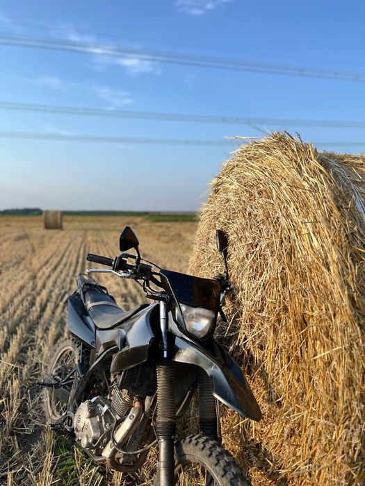 Геон теракс 250 2019 року
