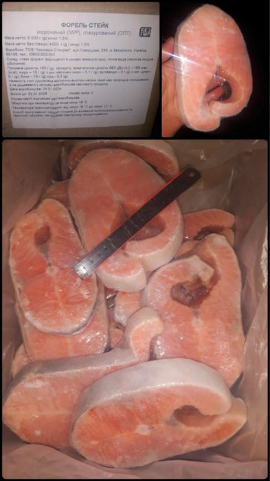 Кінг кліп, риба, кижуч, форель, філе, сьомга, тунец, лангустины