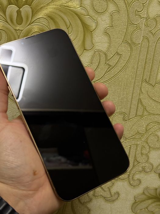 iPhone 13 Pro Max 256gb 91%