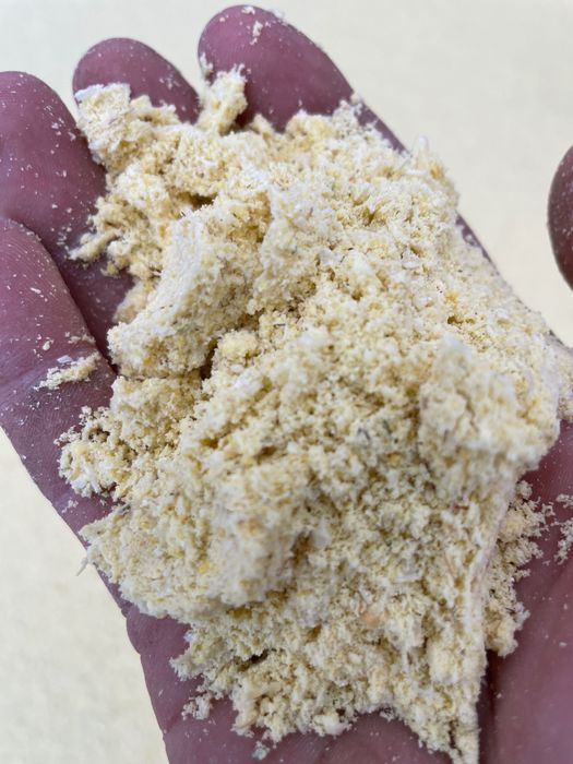 Kukurydza mielona , CCM, mielone ziarno kukurydzy