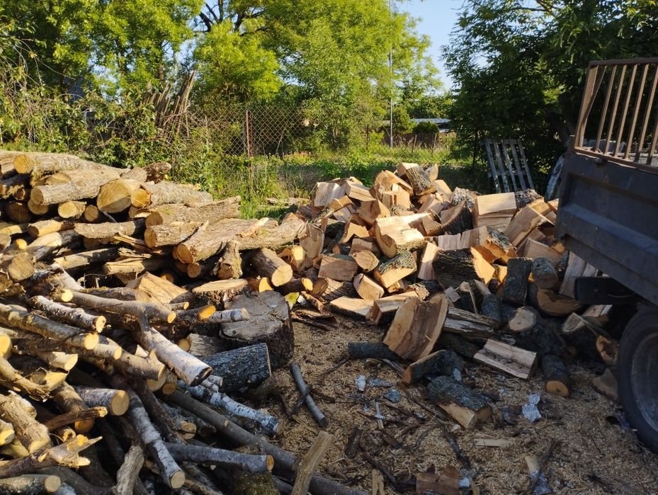 Drewno opałowe buk dąb klon brzoza sosna świerk