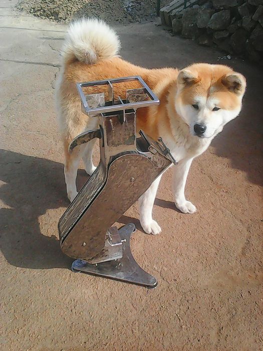 Ракетная печь с дровницей