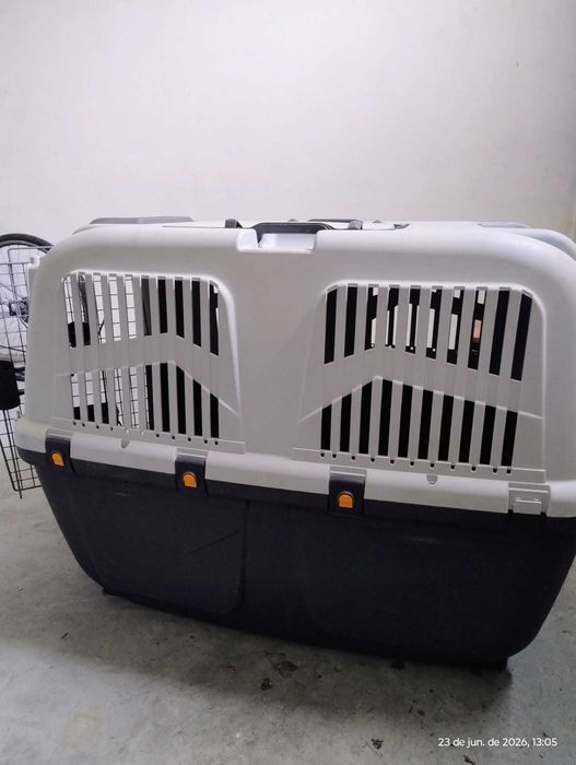 Caixa Transporte Cães Avião Skudo 6 IATA