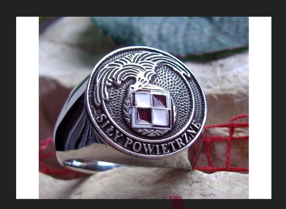 Sygnet sił powietrznych. Godło.