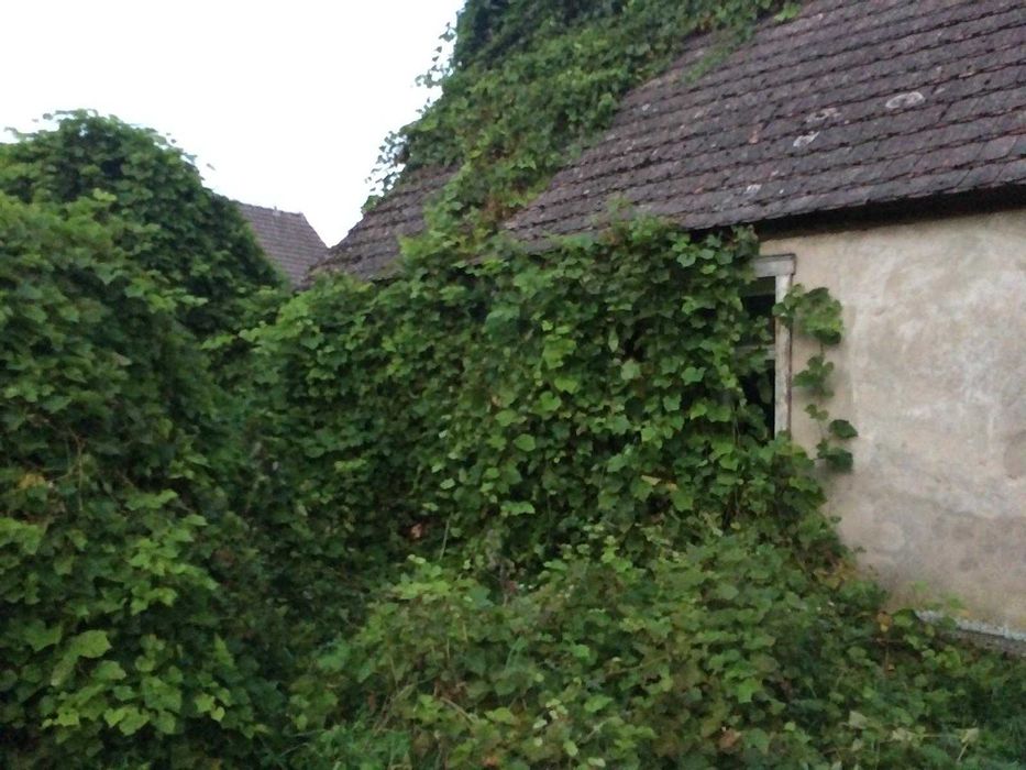 Dom sprzedam +gospodarstwo