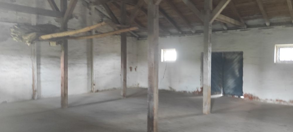 Działka ok. 1 ha z magazynem – Jakubowice, gm. Ożarów - Widok 5