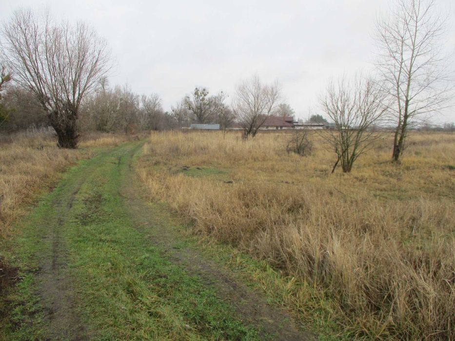 Продаж земельної ділянки 21 сот. Київська обл., с.Жукин      8500$