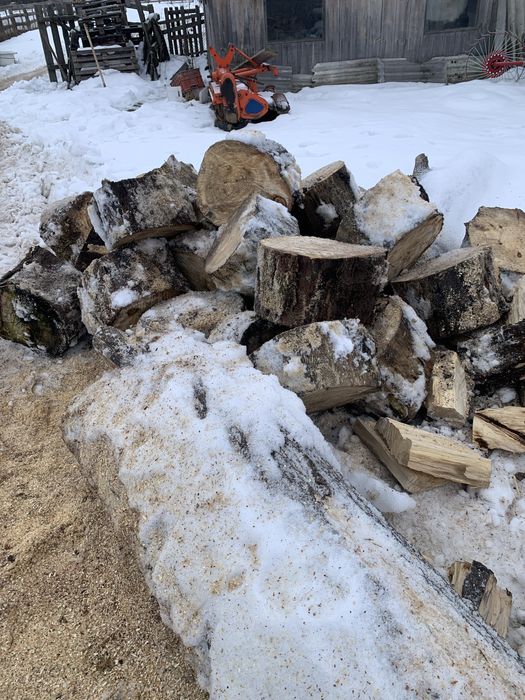 Дрова тополя рубана