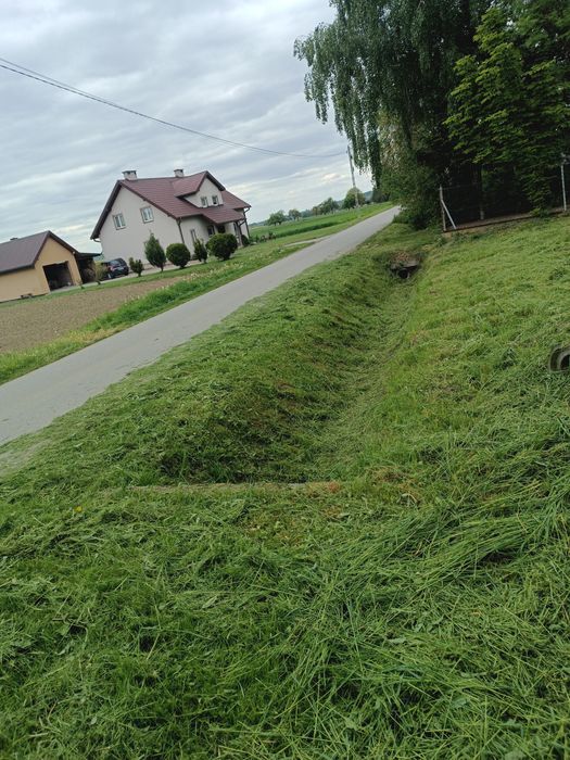 Usługi Ogrodnicze