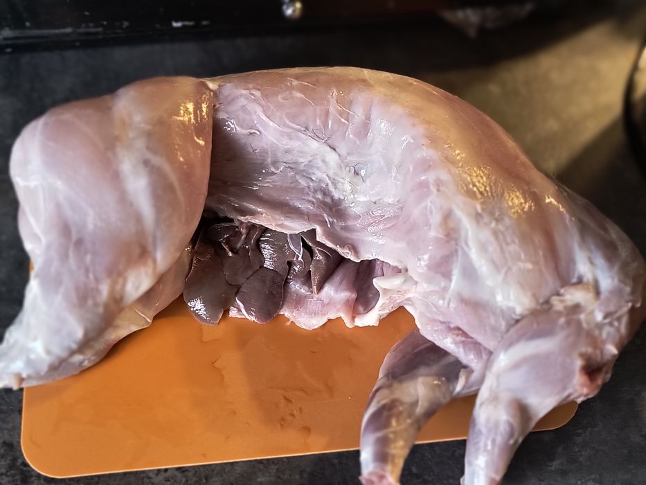 Sprzedam Tuszki królika