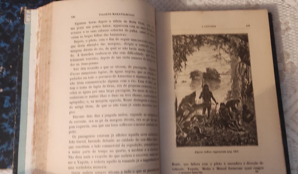 Júlio Verne - A jangada (1881)