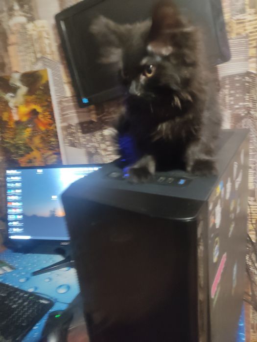 Игровой ПК R5 2600x  gtx 1070ti 8gb ssd M2 Samsung 250gb ddr4 12gb