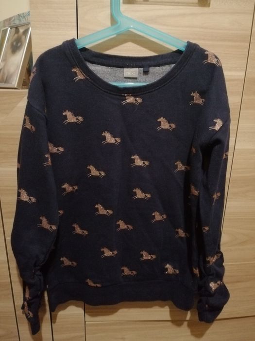 Bluzko bluza w koniki