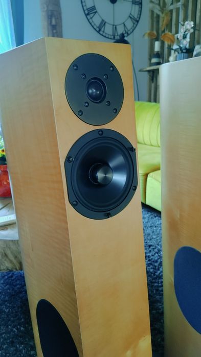 Audio Physic Tempo 6