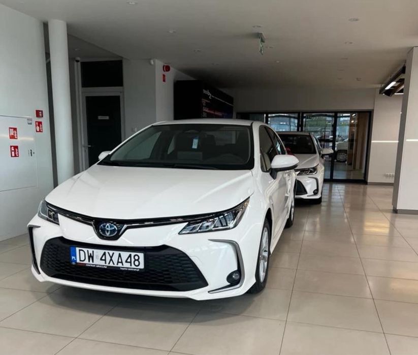 Wynajem wypożyczalnia samochodów busów osobowych busów dostawczych