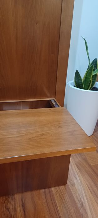 Bengaleiro cerejeira