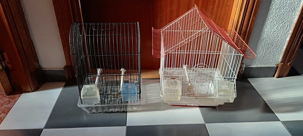 Lot de acecorios para canarios