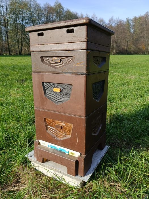 Ul wielkopolski 10 ramek Nektariada poliuretanowy