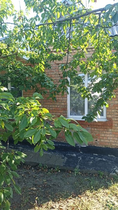Продаж будинку. Божедарівка.