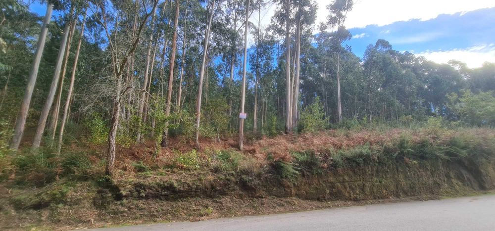 Terreno de 2300m² para venda no lugar de Salgueiral, Lobão